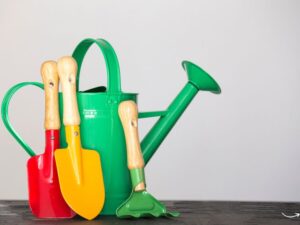 The Ultimate Guide to Hoe Garden Tools: Everything You Need to Know