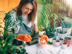 Discover the Beauty of Indoor Gardens Near Me