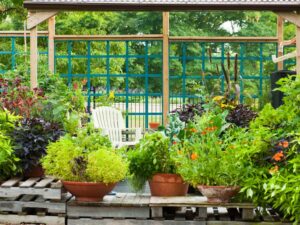 Best Fertilizer for Vegetable Garden: A Comprehensive Guide to Boosting Your Veggies’ Growth