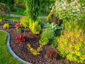 Fall Vegetable Garden: The Ultimate Guide to a Bountiful Autumn Harvest