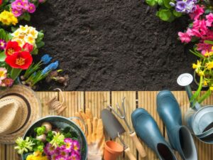 The Essential Guide to Gardening Tools: Cultivate Your Green Thumb