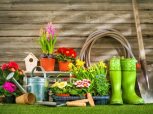 The Ultimate Garden Upgrade: A Garden Shed Greenhouse Combo