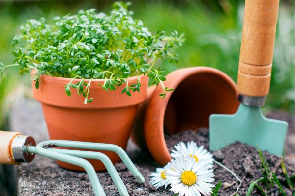 Essential Gardening Tools