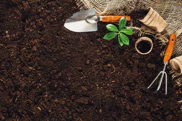 Top Smart Gardening Gadgets