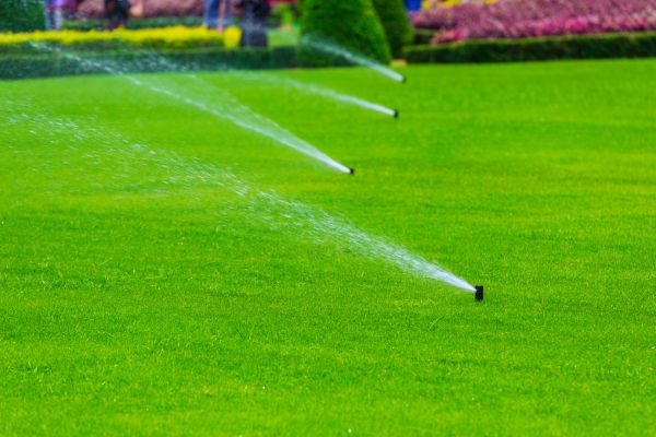 Rainwater Irrigation Systems