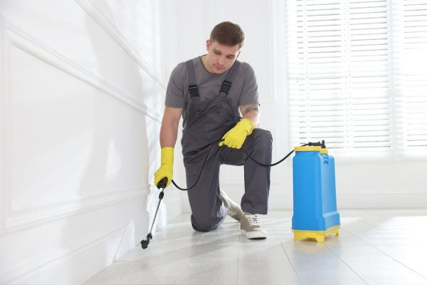 organic pest control