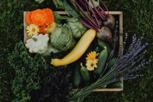 Square Foot Gardening Layout: How Many Plants Fit Per Square Foot