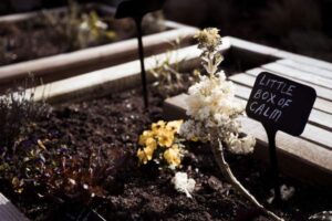 How to Build a Raised Garden Bed for Vegetables (DIY Guide)