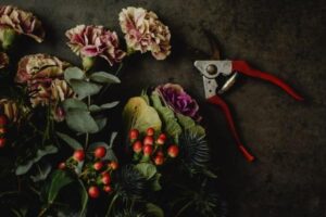 Deadheading Flowers for More Blooms: What to Cut and When