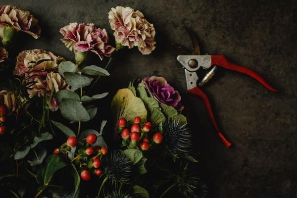 deadheading flowers for more blooms